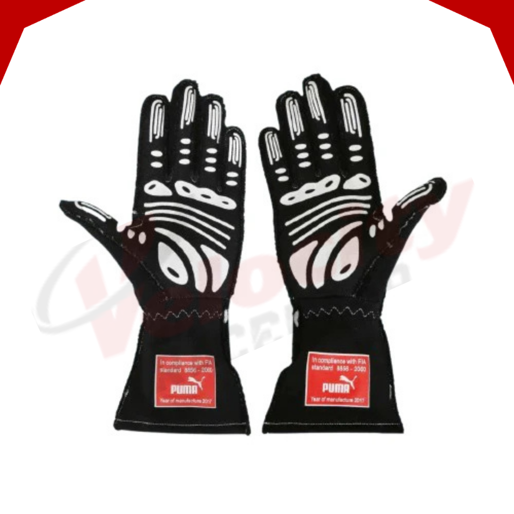 Hélio Castroneves 2017-18 IndyCar & IMSA Race Gloves