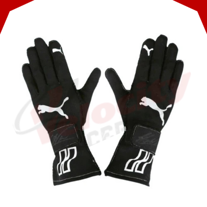Hélio Castroneves 2017-18 IndyCar & IMSA Race Gloves