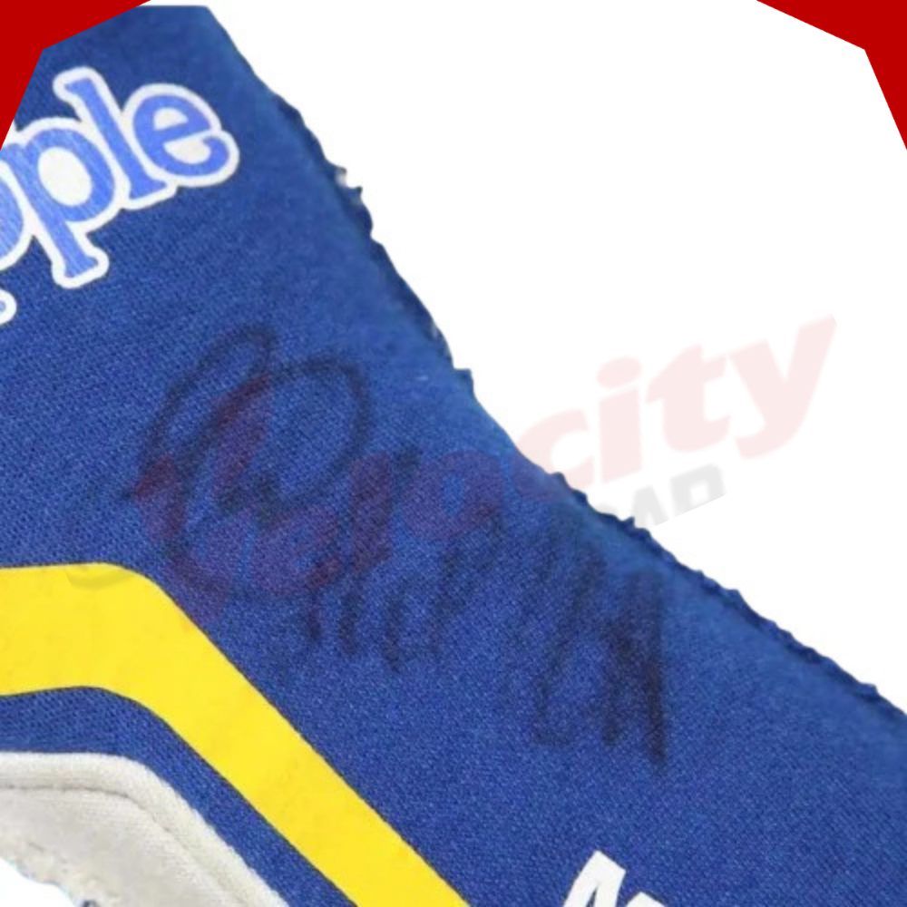Marco Andretti 2014 Indy 500 Race Gloves
